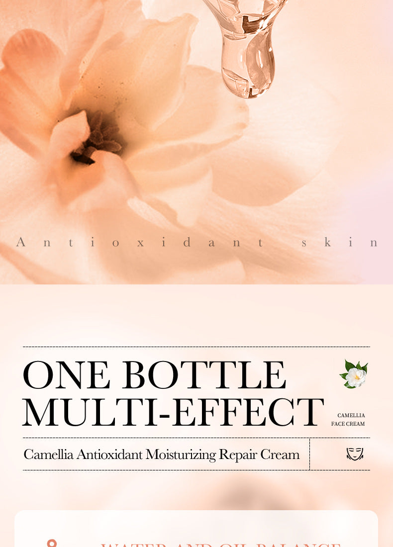 Camellia Face Cream BIOAOUA Hydrating, moisturizing, refreshing, non-sticky moisturizing cream cross-border foreign trade wholesale