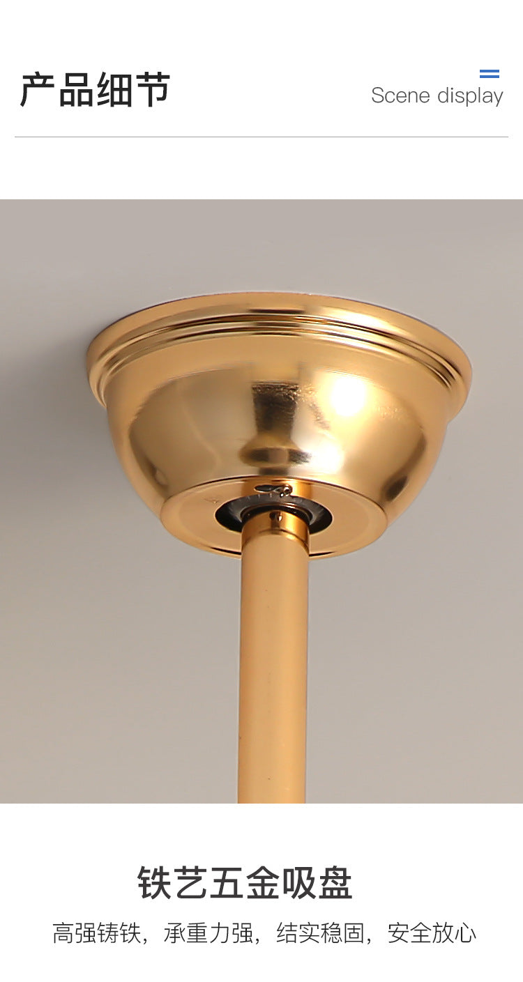 Ceiling Fan Light for Living Room, Bedroom, Dining Room, Nordic Postmodern Style, Luxury Lighted Electric Fan Ceiling Light