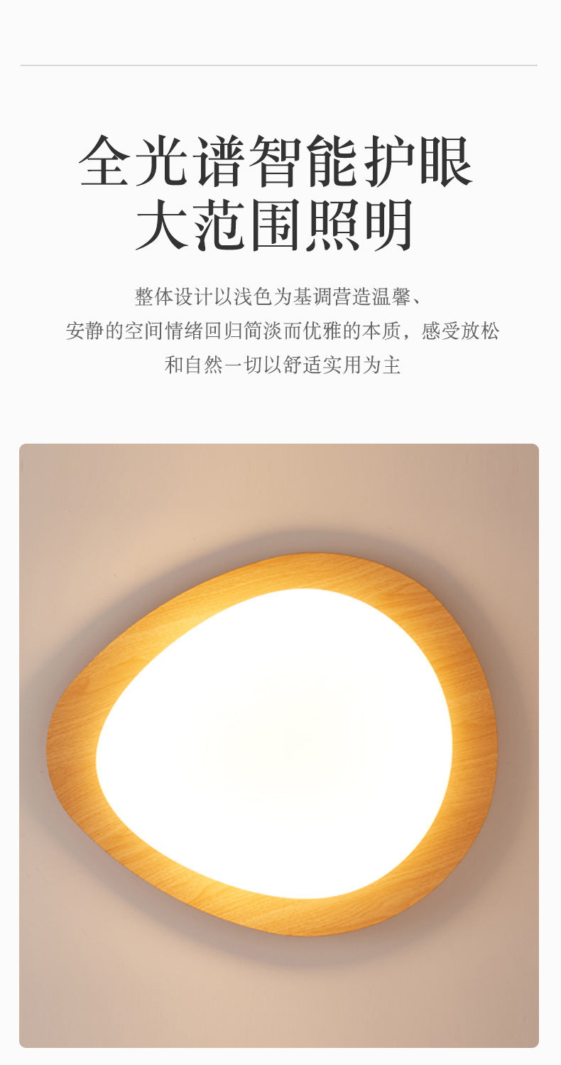 French Vintage Style Bedroom Ceiling Light Modern Simple Walnut Living Room Light Iron Art Water Transfer Printing Study Light Wholesale