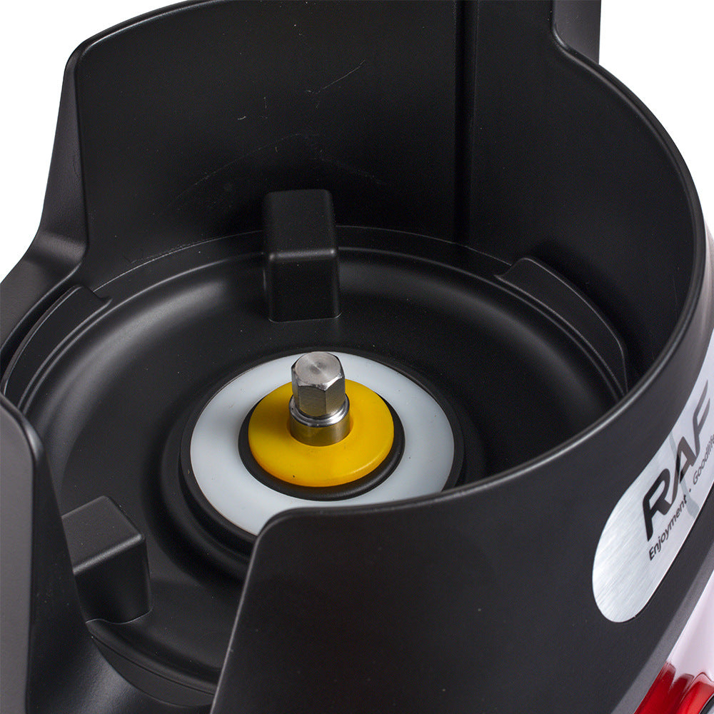 RAF EU Standard Juicer Original Juice Extractor Food Processor Household Multifunctional Slow Juicer R.2733