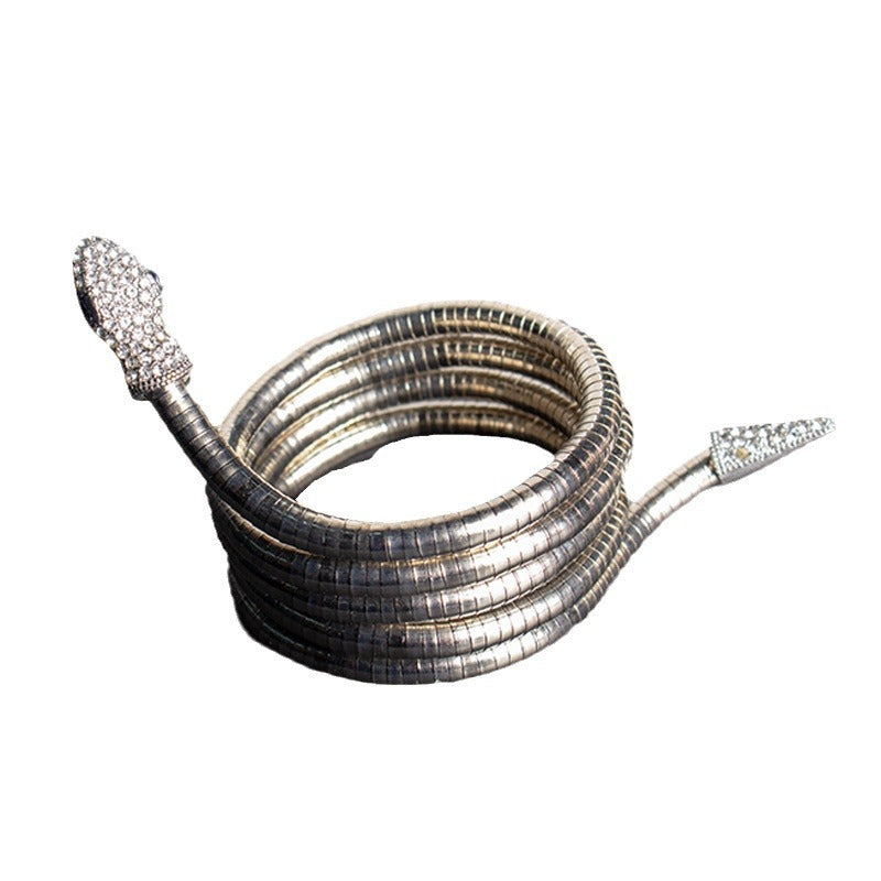 Men's New Necklace Women's Versatile High-end European and American Style Jewelry ins Minimalist Snake Bone Chain Snake Necklace