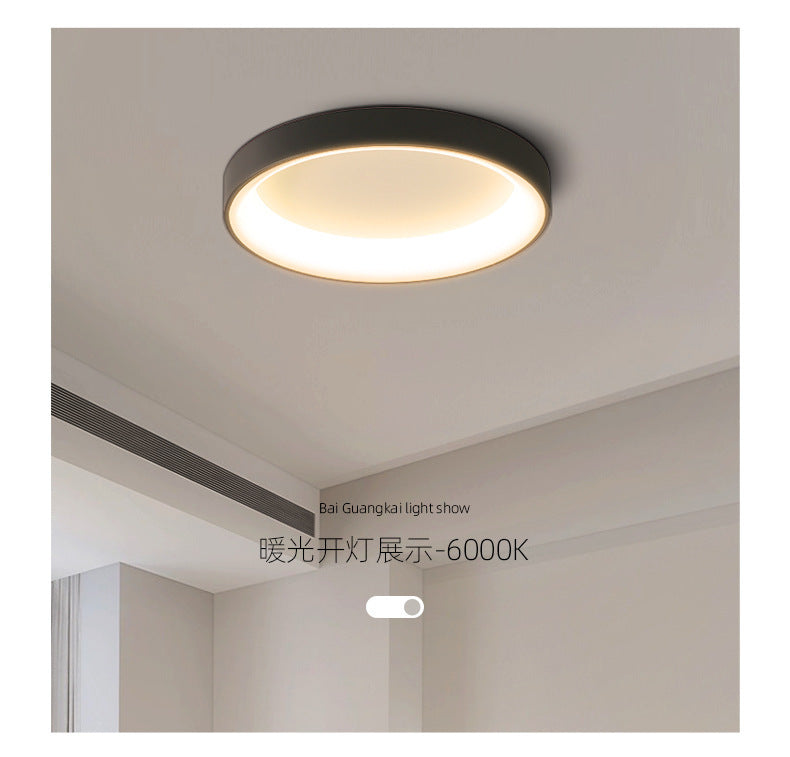 2025New Year's New Internet Celebrity Lighting Collection Master Bedroom Ceiling Light Simple Modern Nordic Style Room led bedroom lamp