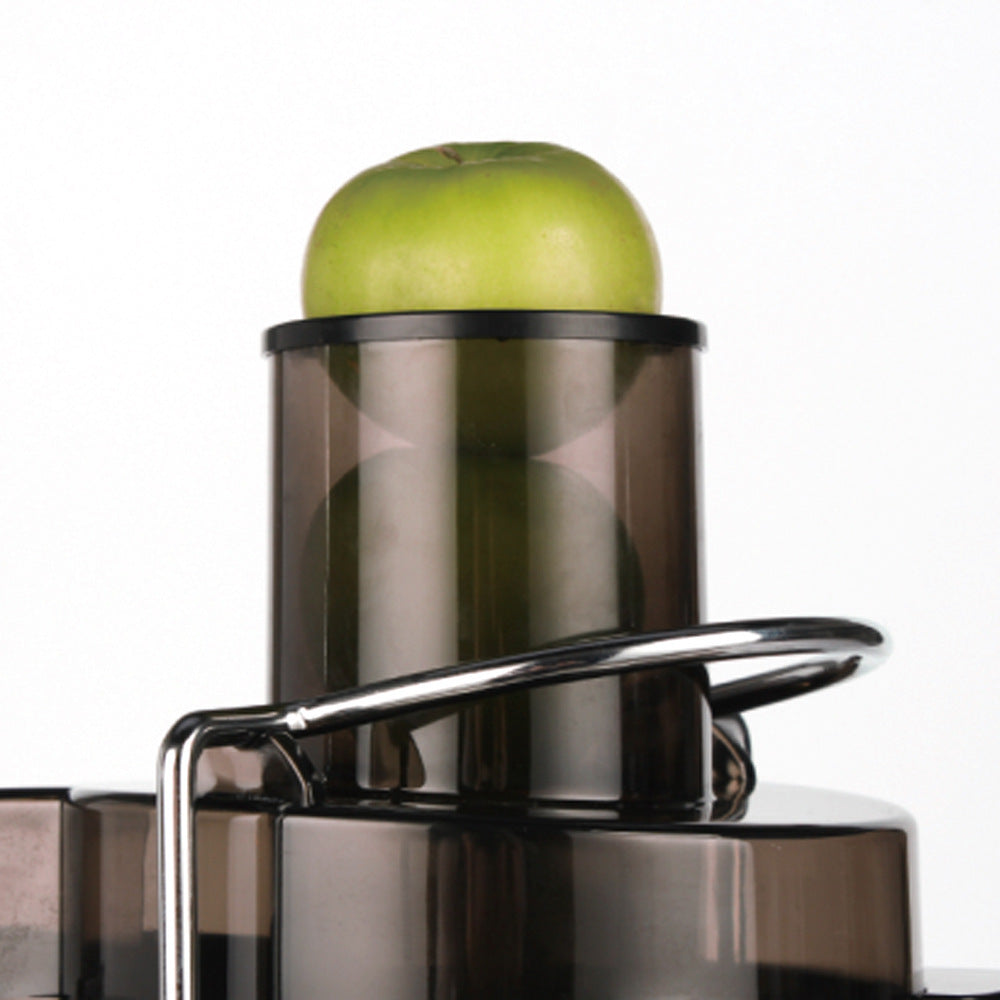 RAF EU Standard Juicer Household Fully Automatic Large Caliber Juicer Juice Separator