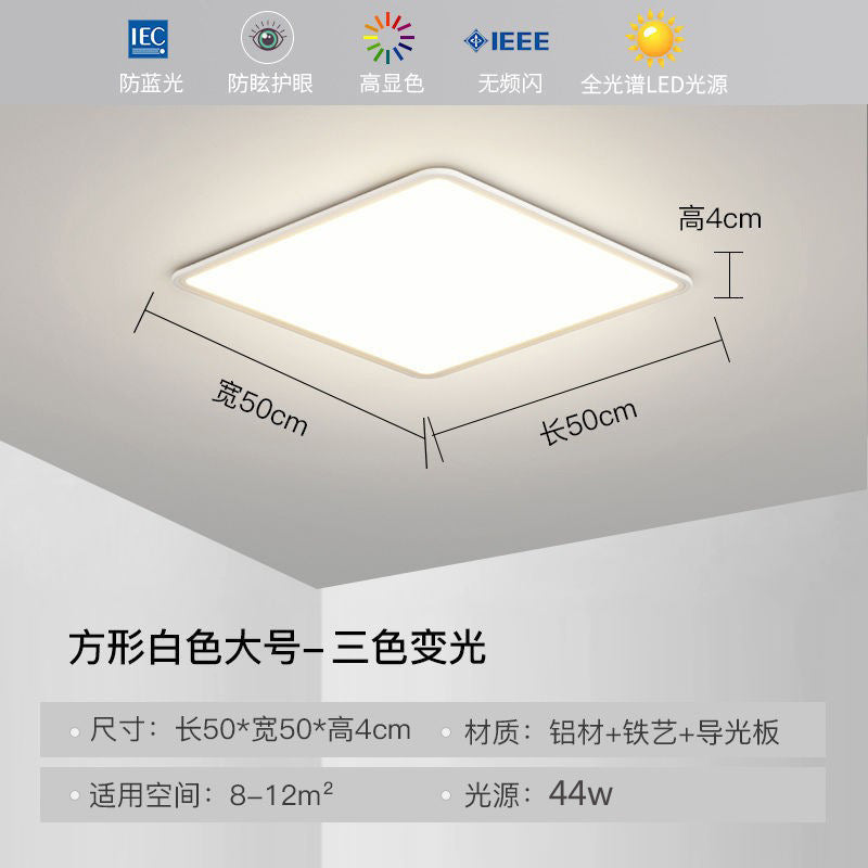 Full Spectrum Ceiling Light Hall High-end Zhongshan Lighting Modern Simple Living Room Light Home Study Bedroom Light