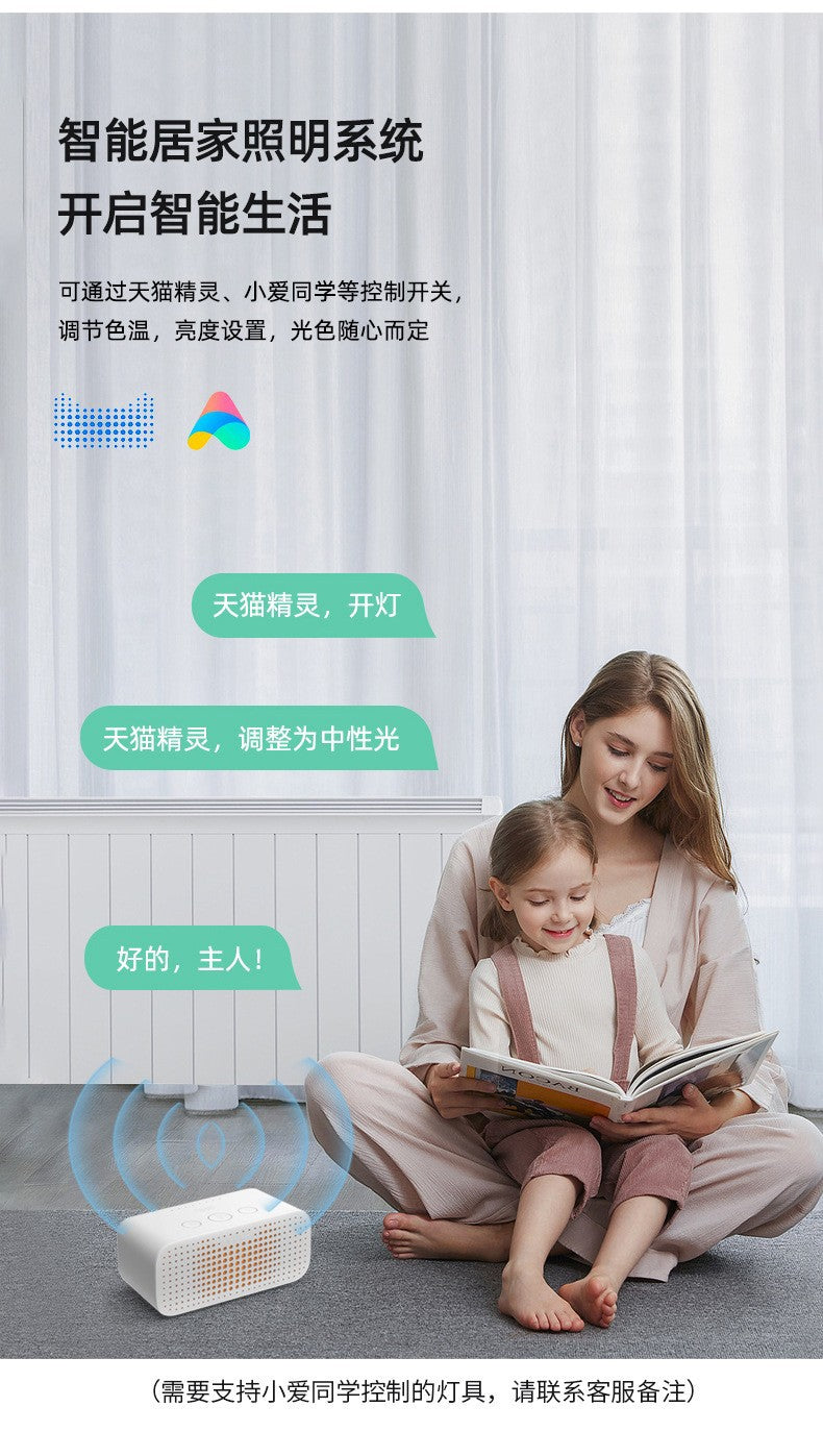 Full Spectrum Ceiling Light Hall High-end Zhongshan Lighting Modern Simple Living Room Light Home Study Bedroom Light