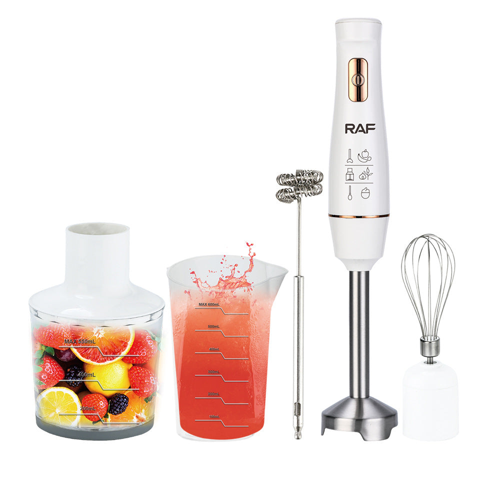 RAF EU Standard Portable Household Electric Stainless Steel Cooking Stick Blender Food Mixer 5-in-1309