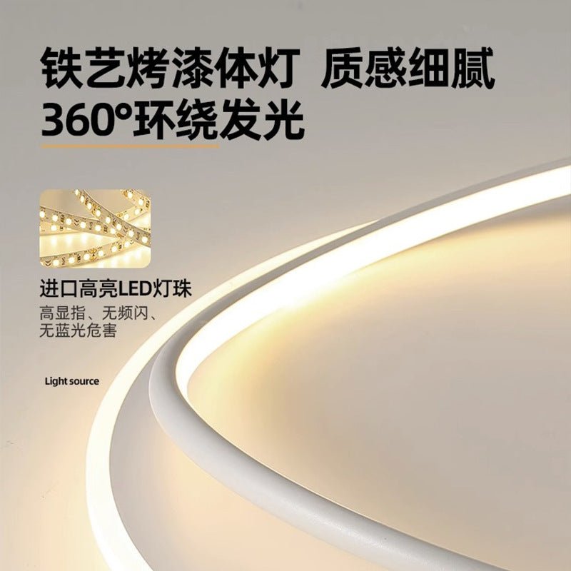 Nordic Light Luxury Bedroom Lamp LED Ceiling lamp for master bedroom, study room, dining room, simple modern oval light fixture