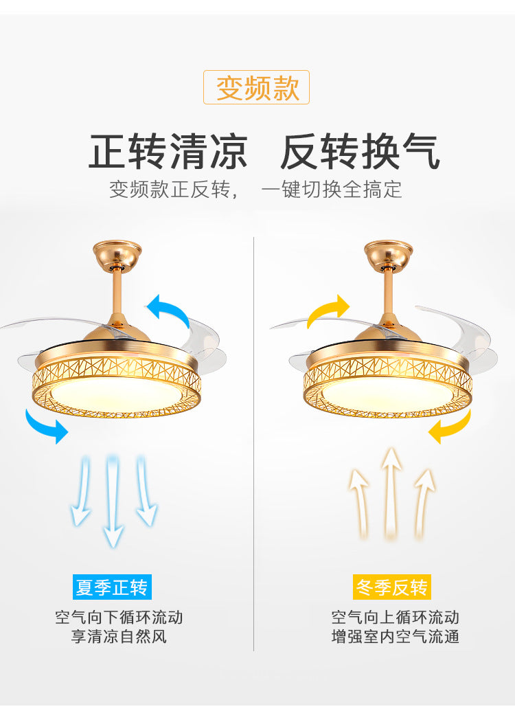 Ceiling Fan Light for Living Room, Bedroom, Dining Room, Nordic Postmodern Style, Luxury Lighted Electric Fan Ceiling Light