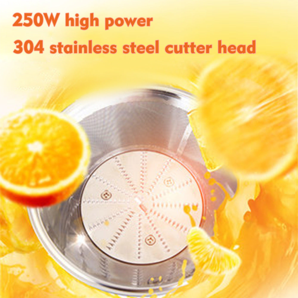 RAF Stainless Steel Electric Juicer  Children's Fruit Juice Machine/l Cooking Machine/Juicer