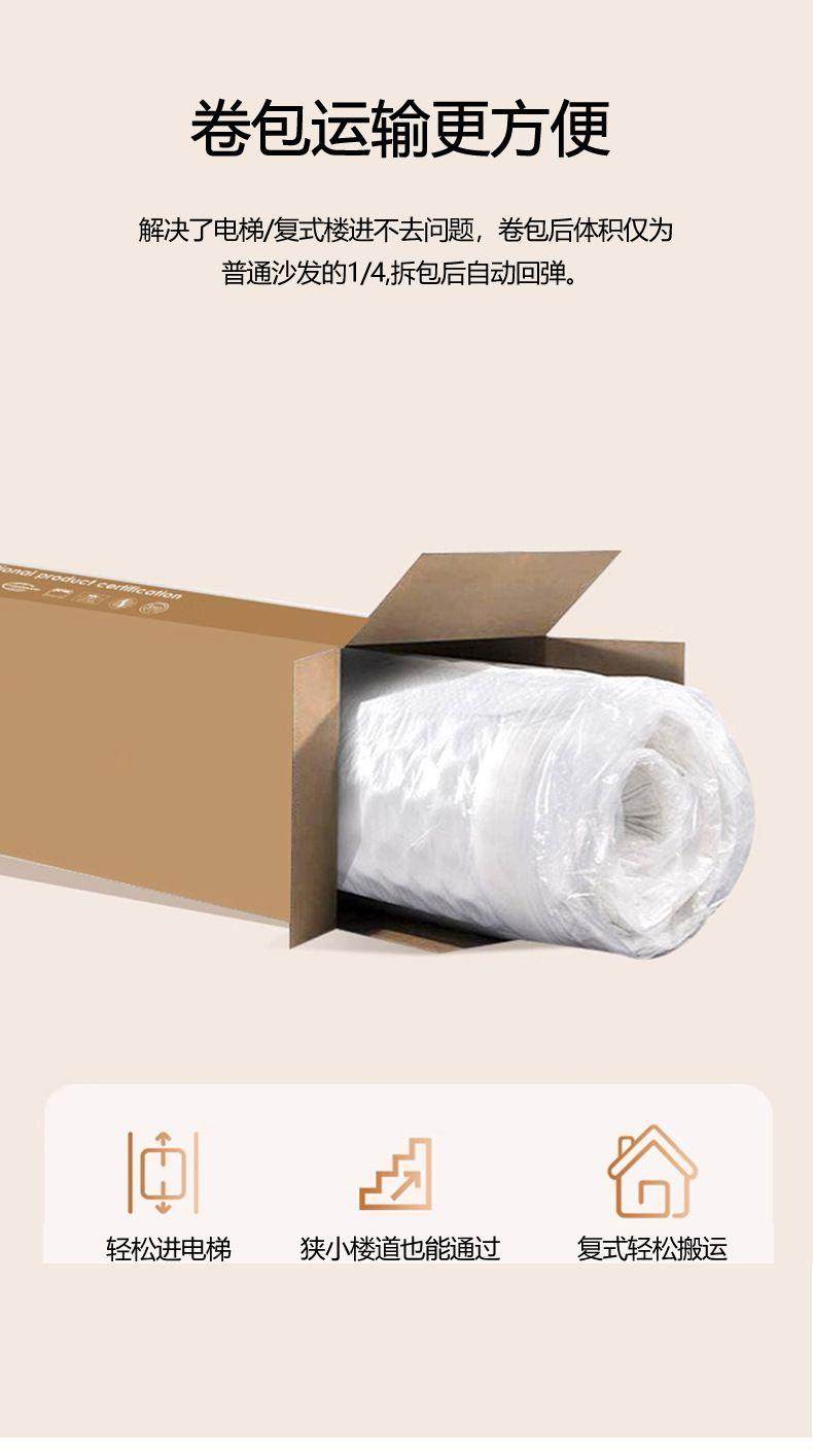 Vacuum Compressed Sofa Second-Hand Modular Combination Small Apartment Wabi-Sabi Style Living Room Designer Lamb Wool Fabric Sofa