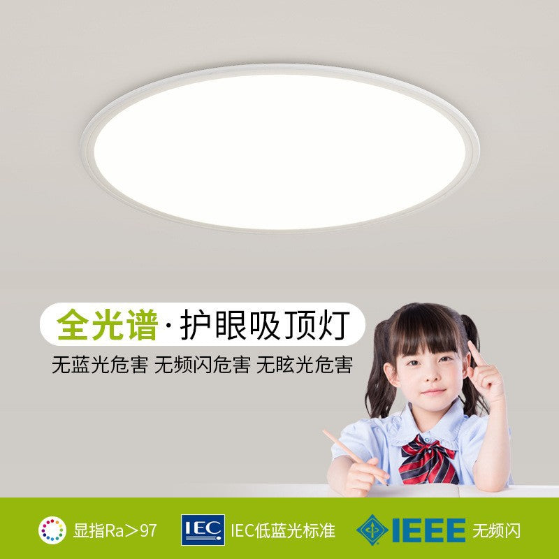 Full Spectrum Ceiling Light Hall High-end Zhongshan Lighting Modern Simple Living Room Light Home Study Bedroom Light