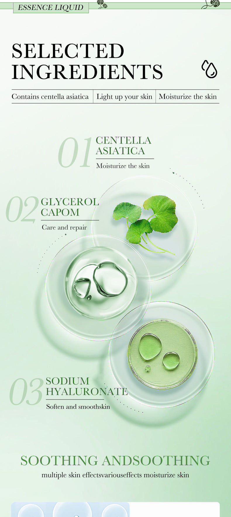 Centella Asiatica Essence30ml BIOAOUA Moisturizing and Hydrating Wholesale for Cross-Border Trade