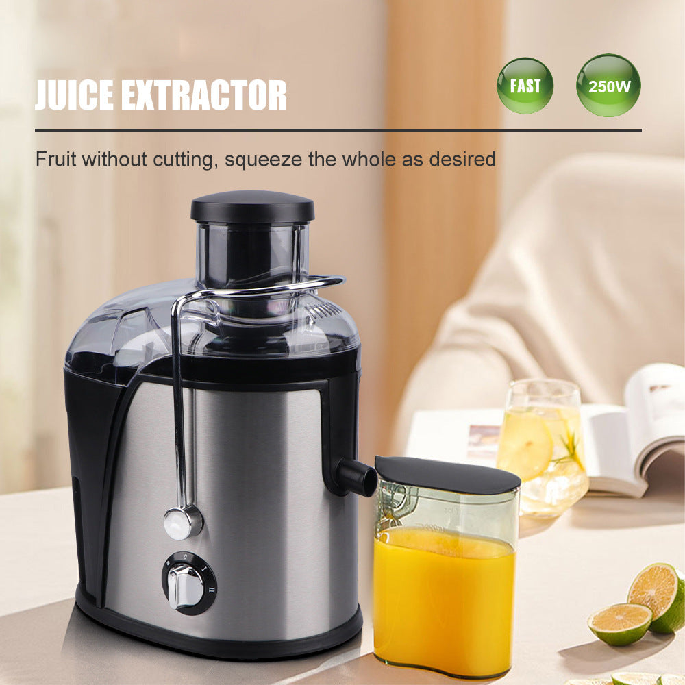 RAF Stainless Steel Electric Juicer  Children's Fruit Juice Machine/l Cooking Machine/Juicer