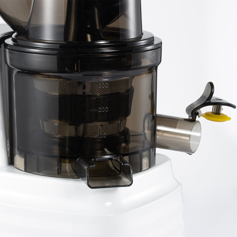 RAF Stainless Steel Juicer Juicer Extractor for Children's Fruit Juice/l Cooking Machine R.2705