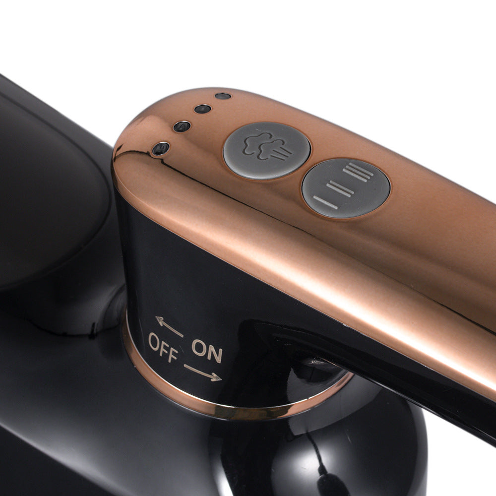 RAF European Standard Portable Garment Steamer for Home, Business Trips, and Travel, Handheld Steam Iron, Mini Iron