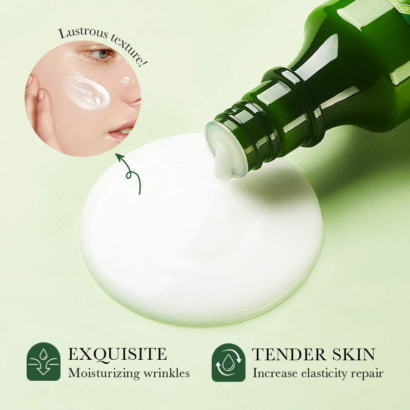 Cross-border Lotion150ml Olive Oil Nourishing Lotion Skin Brightening and Rejuvenating Lotion Wholesale from Foreign Trade Manufacturer