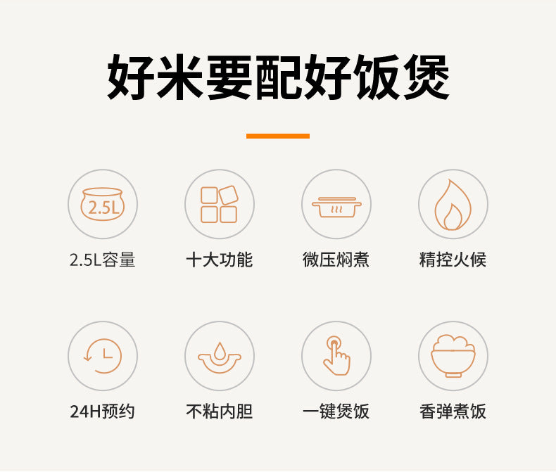 厂家直销家用2.5升电压力锅大容量电饭煲多功能批发压力锅