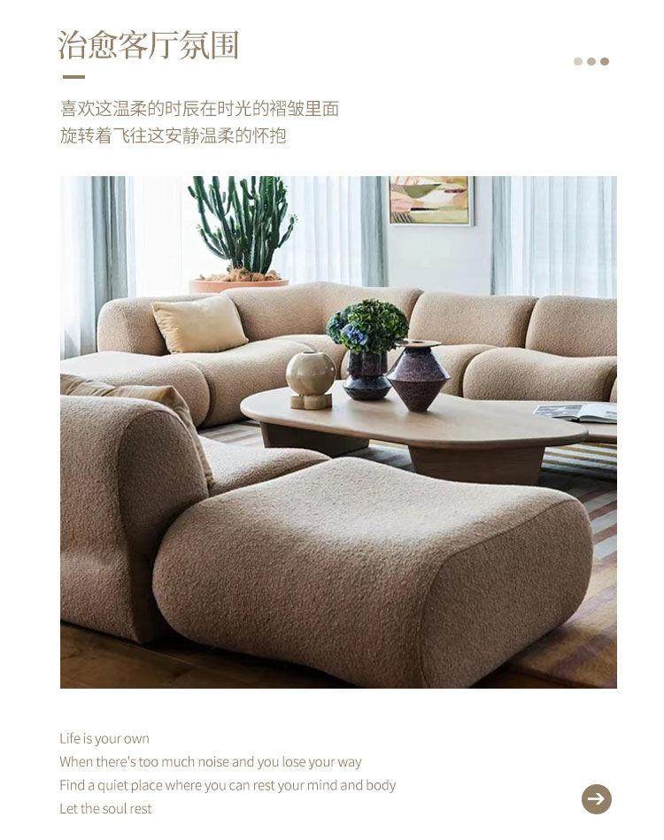Vacuum Compressed Sofa Second-Hand Modular Combination Small Apartment Wabi-Sabi Style Living Room Designer Lamb Wool Fabric Sofa