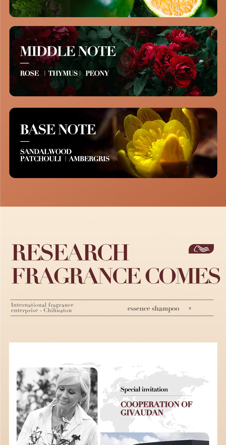 Full English Ginger Anti-Hair Loss Shampoo500ml SADOER Plant Shampoo  Wholesale