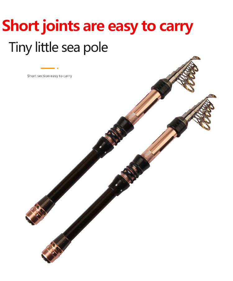 Manufacturer In-Stock Carbon Mini Small Sea Rod Casting Rod Short Section Pen Fishing Rod Set Ultra-Hard Long Casting Rod