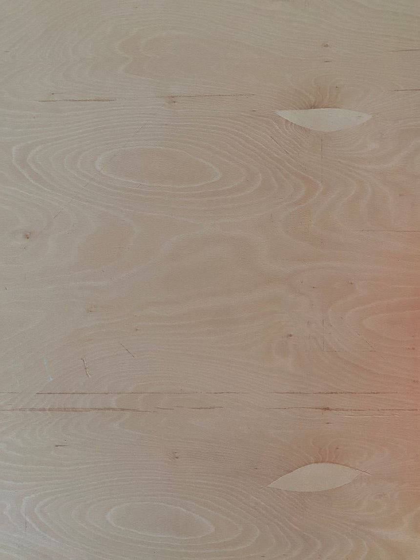 Veneer1