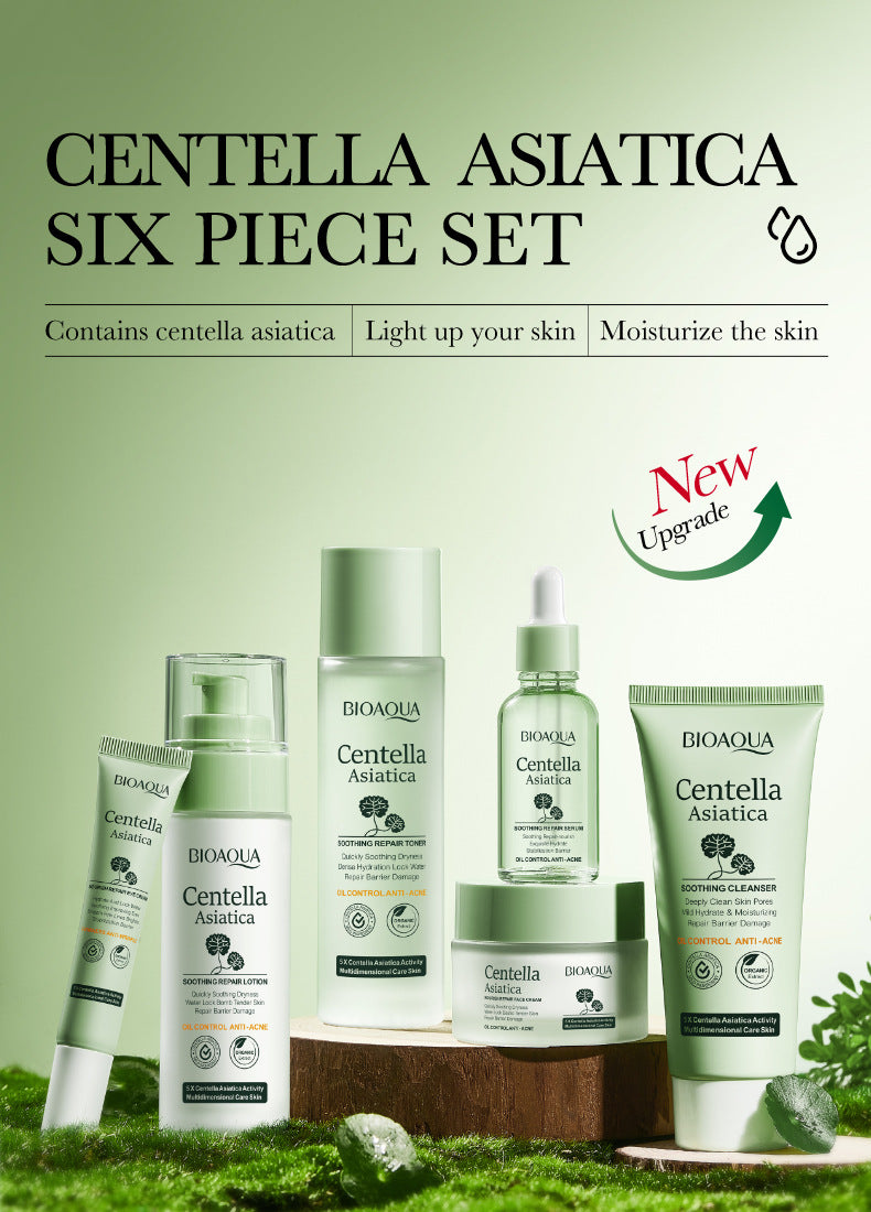 Centella Asiatica Skin Care Set in English BIOAOUA Cleansing, moisturizing and moisturizing six-piece set  foreign trade wholesale
