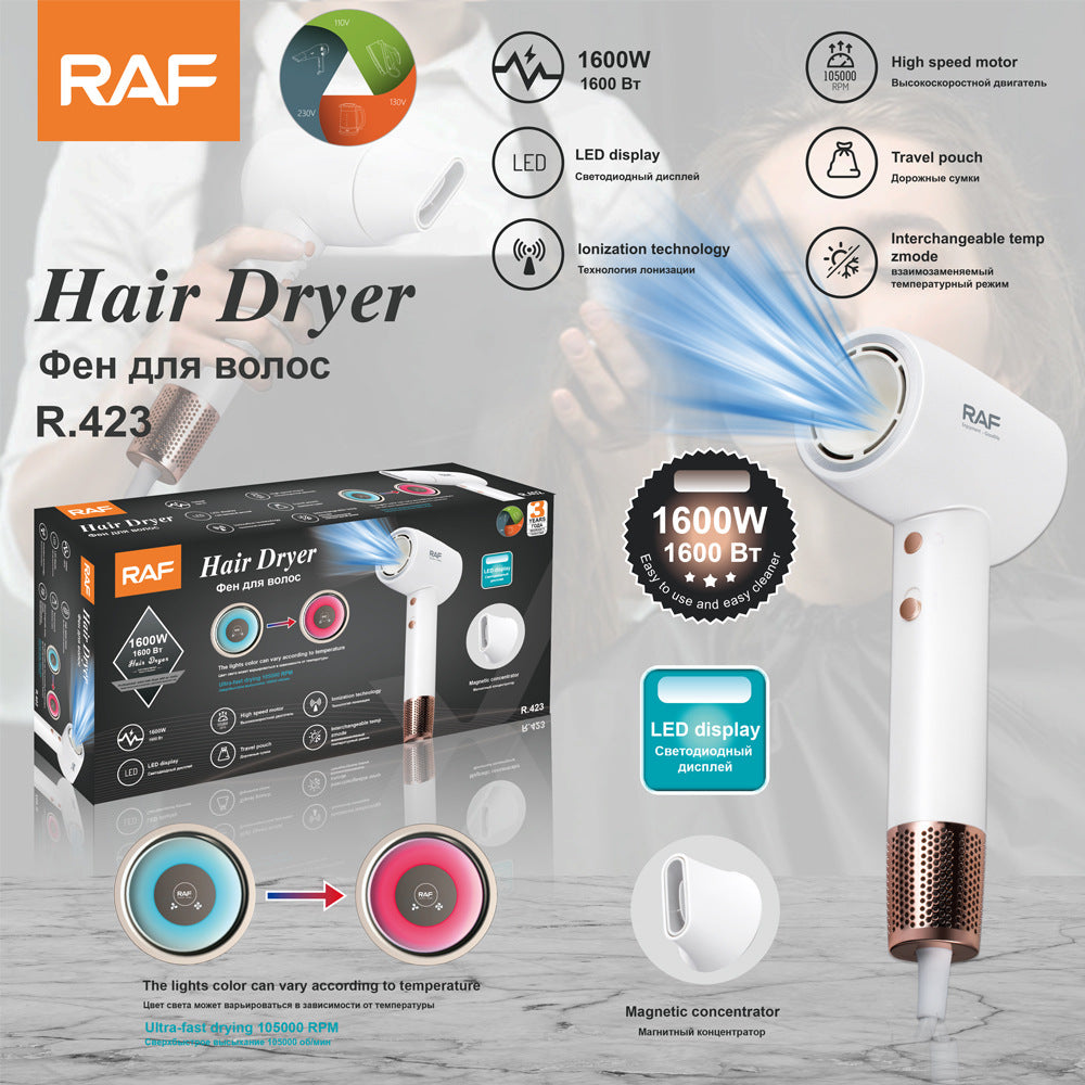 RAF European standard intelligent temperature control high-power high-speed hair dryer for home use Quick-Dry Hair Care Negative Ion R423