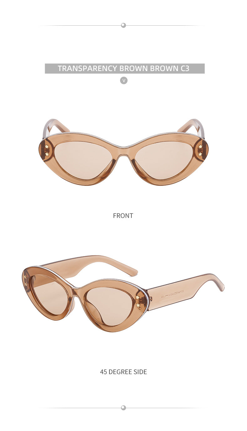 New Wide Mirror Leg Cat Eye Sunglasses for Women, European and American Fashion, High-End Feel Sunglasses sunglasses