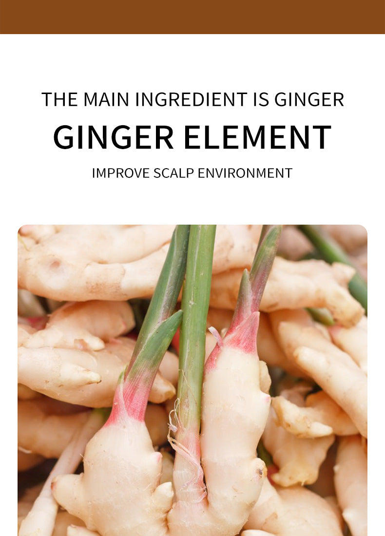 Full English Ginger Hair Mask500g SADOER Moisturizing and Smooth Hair Care  Foreign Trade Live Wholesale