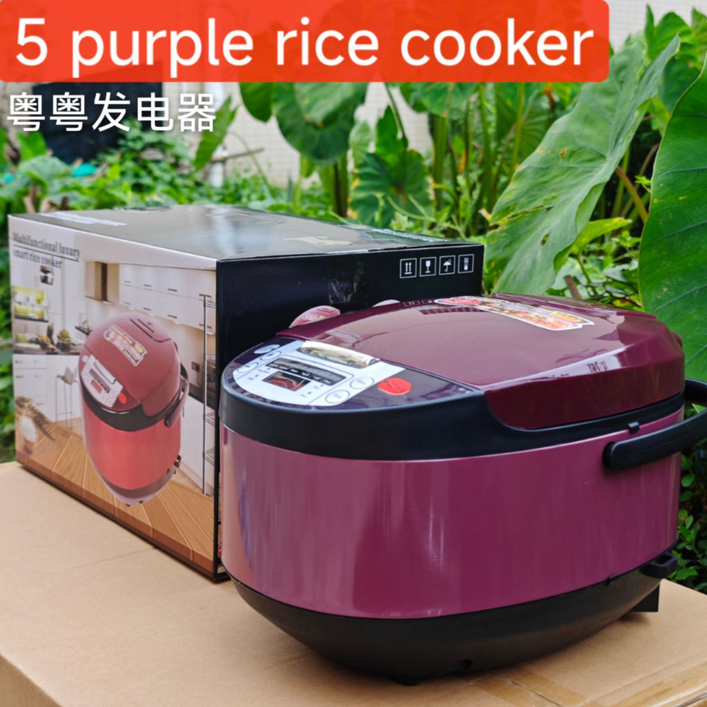 5LRicecooker English Rice Cooker5L Home Smart Reservation Factory Direct Sale Aluminum Alloy Inner Tank