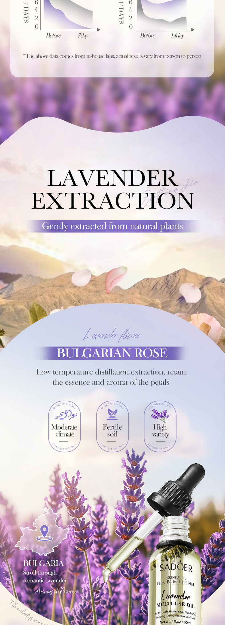 Cross-border Lavender Dried Flower Massage Oil30ml Moisturizing and rejuvenating skin body oil wholesale from foreign trade manufacturer