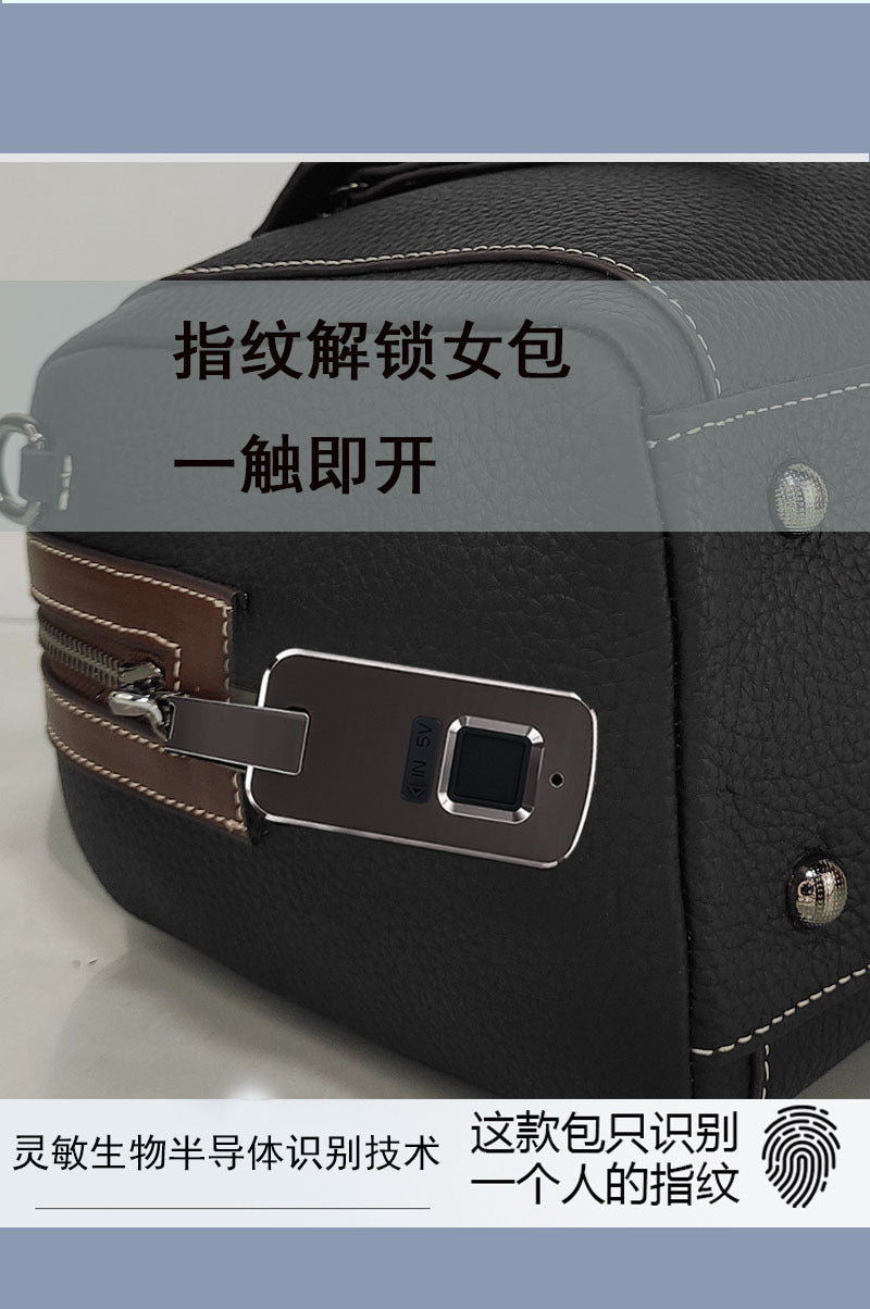 Boston Crossbody Pillow Bag Privacy Protection Fingerprint Unlock Genuine Leather Handbag Commuter Women's Bag Crossbody Bag