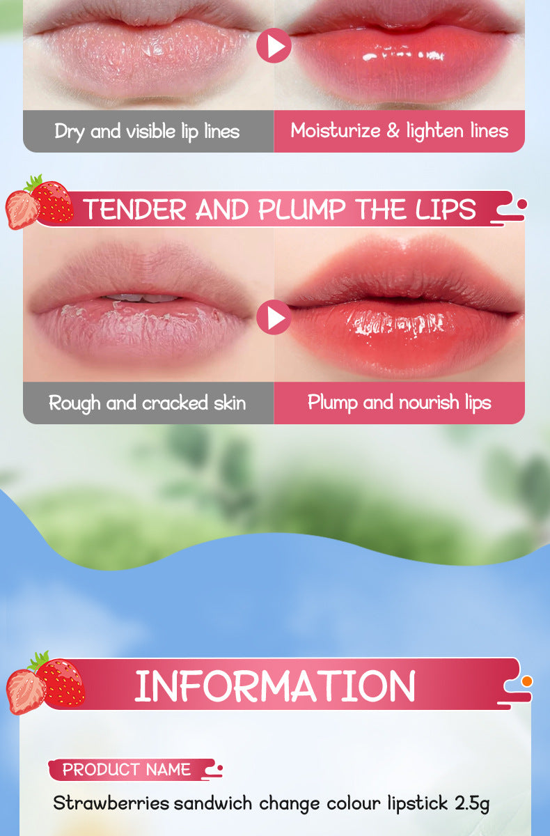 Full English Fruit Filled Temperature Changing Lip Balm SADOER Hydrating Moisturizing Temperature Changing Lip Balm for Foreign Trade