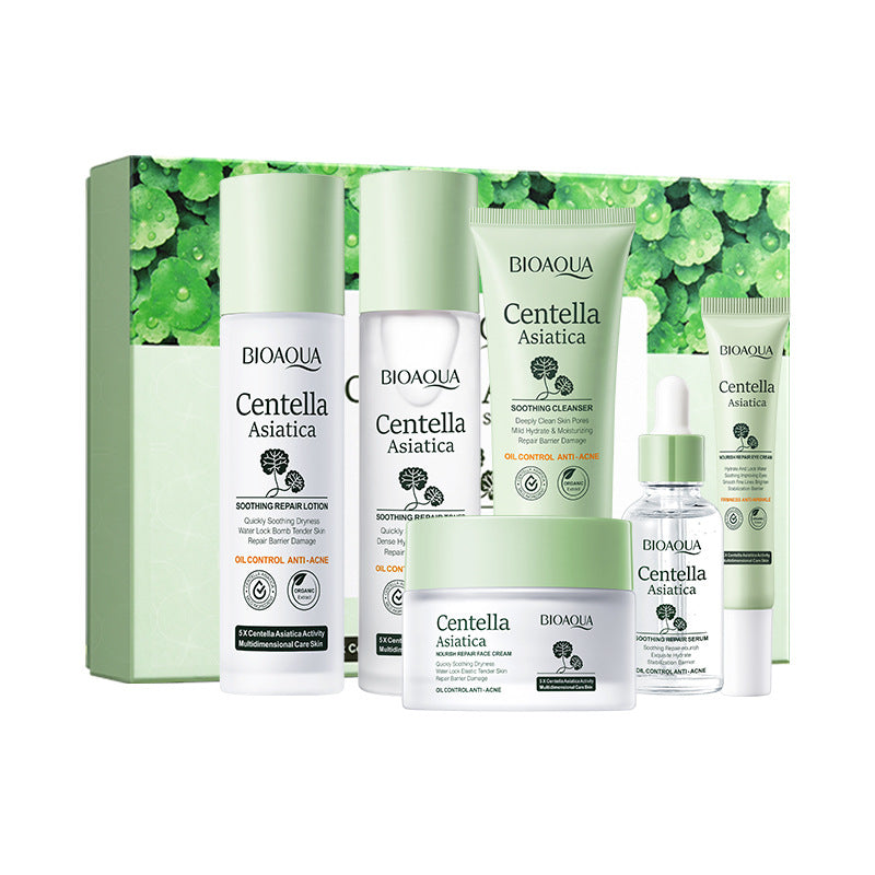 Centella Asiatica Skin Care Set in English BIOAOUA Cleansing, moisturizing and moisturizing six-piece set  foreign trade wholesale