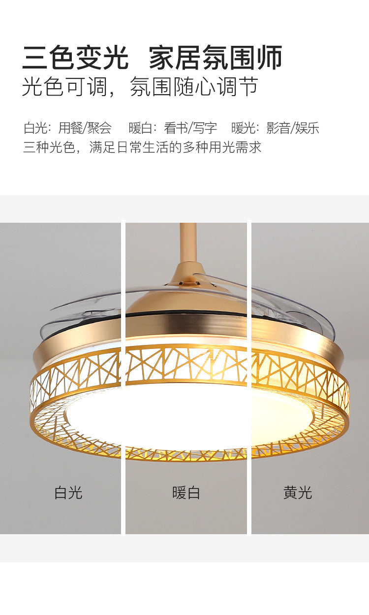 Ceiling Fan Light for Living Room, Bedroom, Dining Room, Nordic Postmodern Style, Luxury Lighted Electric Fan Ceiling Light