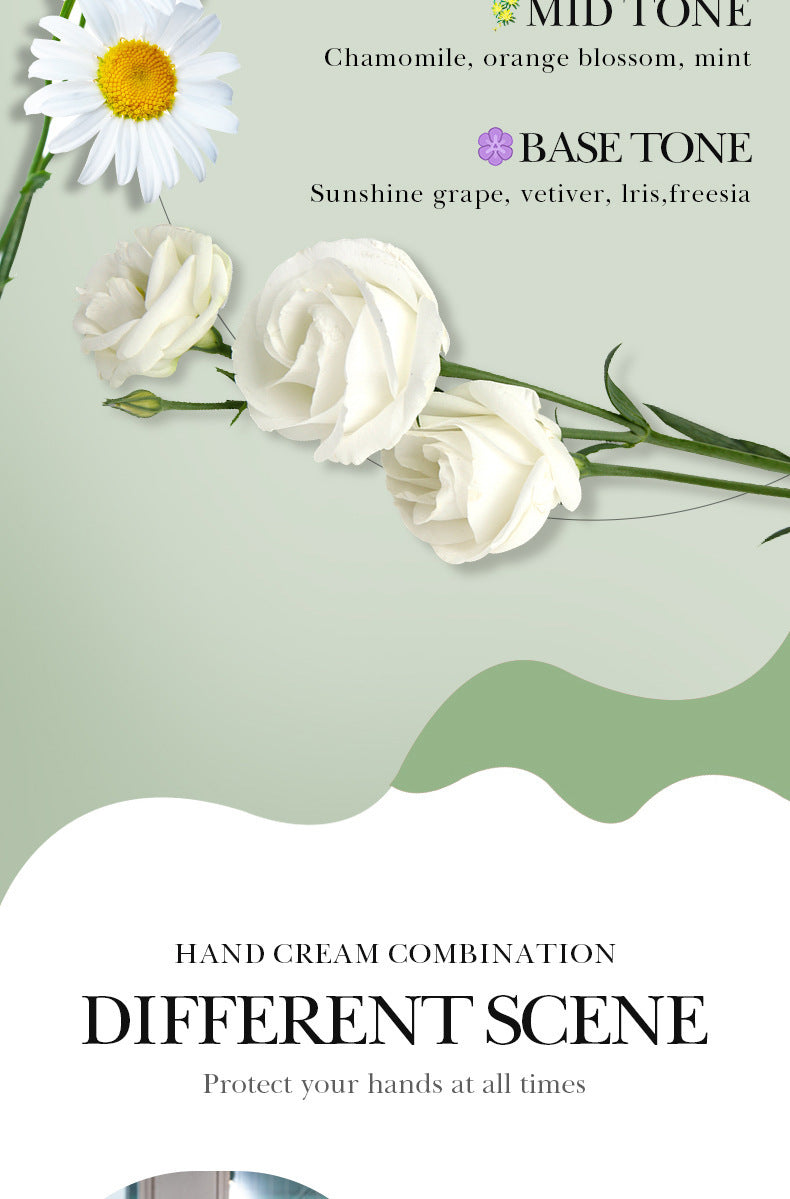 Full English SADOER Fruit Combination Moisturizing Hand Cream Hydrating Autumn and Winter Hand Cream  Foreign Trade Wholesale