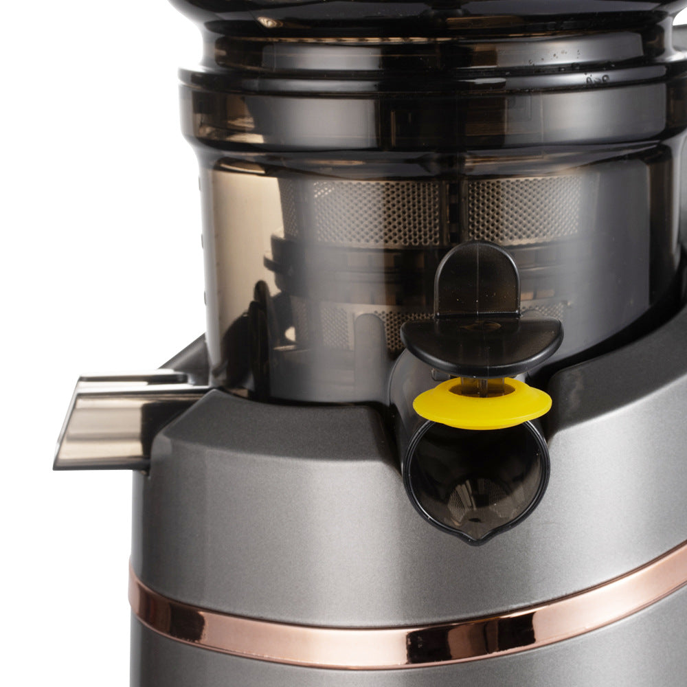 RAF EU Standard Original Juice Extractor Household Fully Automatic Large Caliber Pulp Juice Separation Juicer Easy to Clean