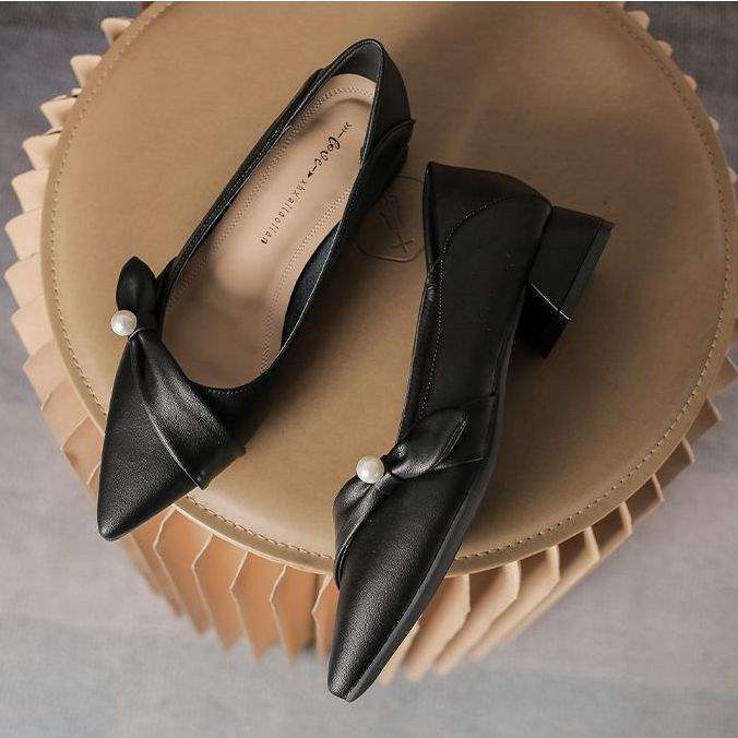 Women's French Style Professional Work Leather Shoes2025Spring and summer new style commuting temperament pointed toe chunky heel women's shoes