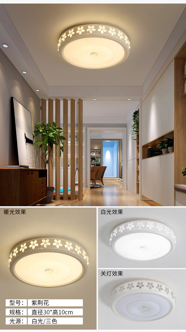led Ceiling Lamp Nordic Simple Living Room Lamp Round Bedroom Children's Lamp Balcony Corridor Engineering Ceiling Light Fixture