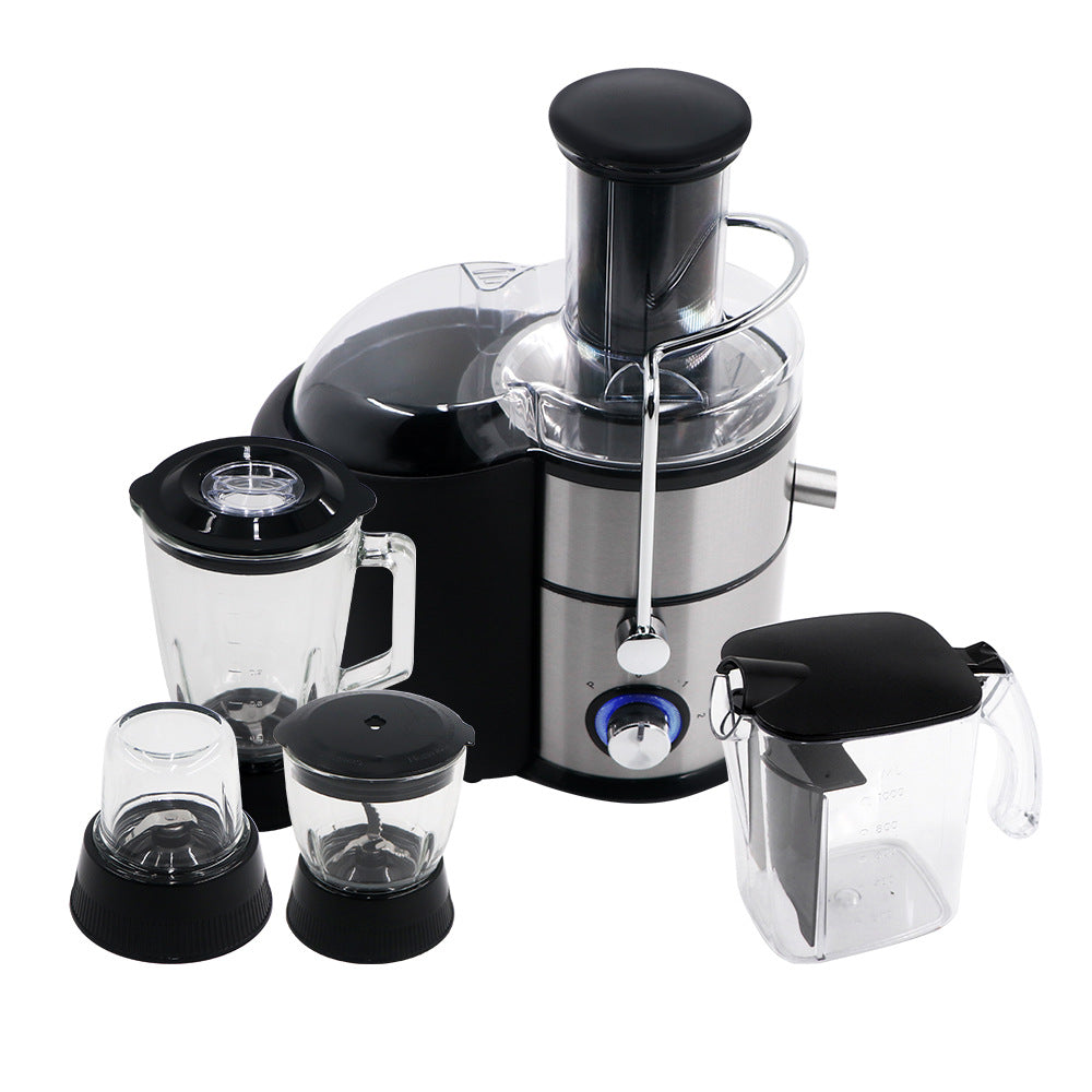 RAF Multifunctional Household Juicer Integrated Grinding and Cooking Machine Juice Extractor with No Residue4IN1