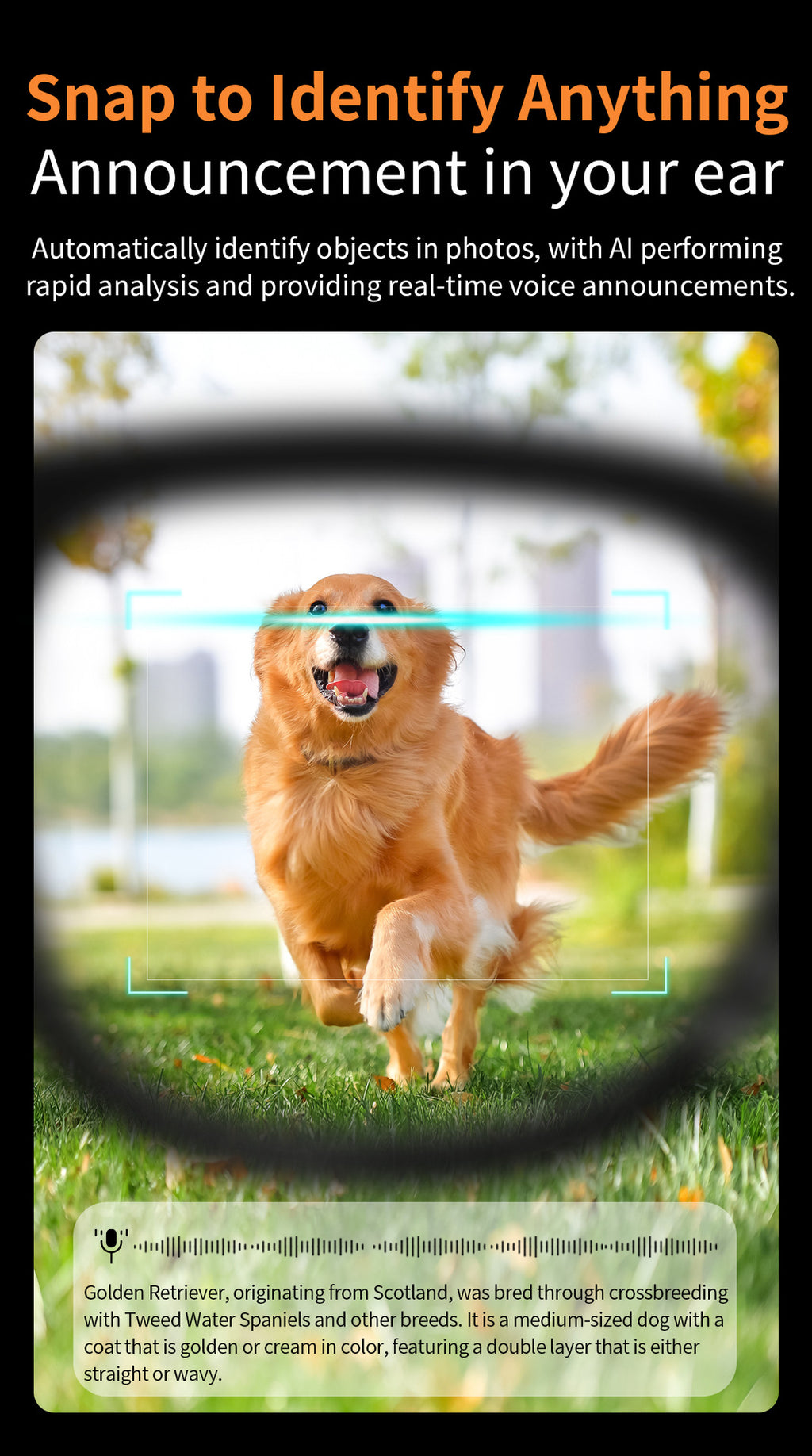 V3Smart Glasses800100 Megapixel Camera AI Translation Character Recognition Anti-Shake1200P Video Recording Audio Recording