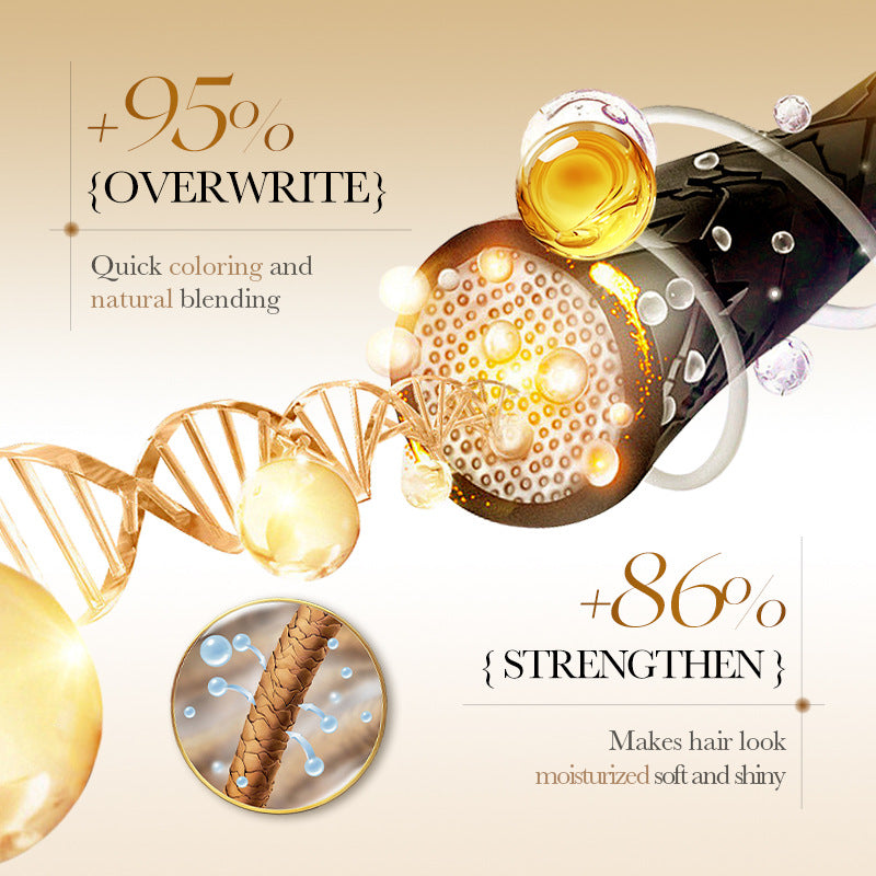 Cross-border Conditioner Box Set25ml×10PCS Argan Oil Olive Dye Moisturizing Hair Care Export Manufacturer Wholesale