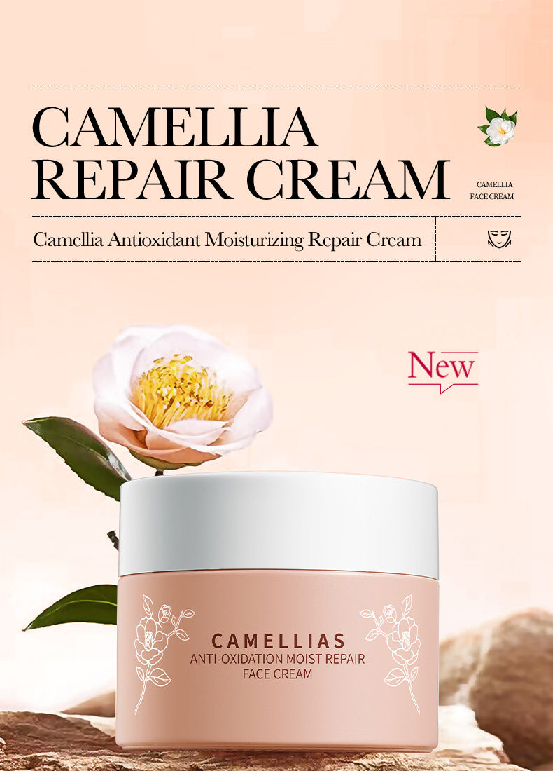 Camellia Face Cream BIOAOUA Hydrating, moisturizing, refreshing, non-sticky moisturizing cream cross-border foreign trade wholesale