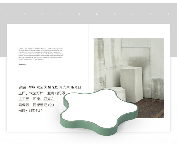 Macaron Five-Pointed Star Ceiling Light led Children's Room Lamp Nordic Iron Art Bedroom Lamp Kindergarten Cartoon Lighting