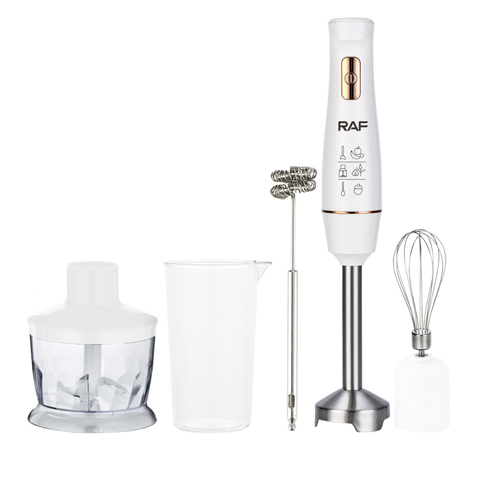 RAF EU Standard Portable Household Electric Stainless Steel Cooking Stick Blender Food Mixer 5-in-1309