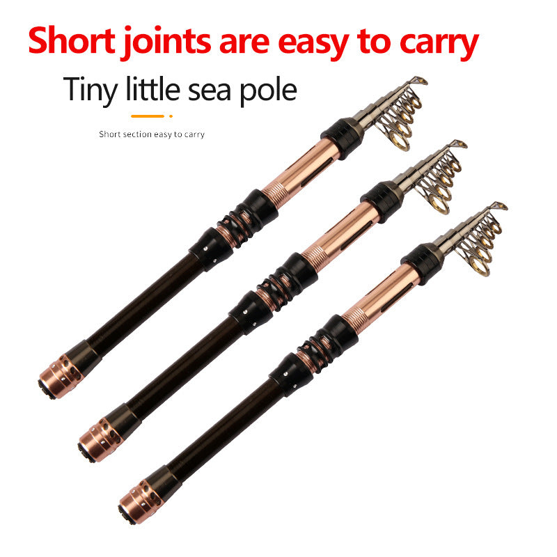 Manufacturer In-Stock Carbon Mini Small Sea Rod Casting Rod Short Section Pen Fishing Rod Set Ultra-Hard Long Casting Rod
