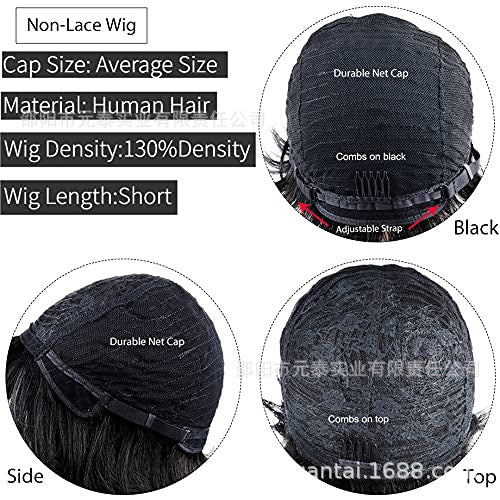 短款波浪卷发假发，带刘海，全机织无蕾丝假发