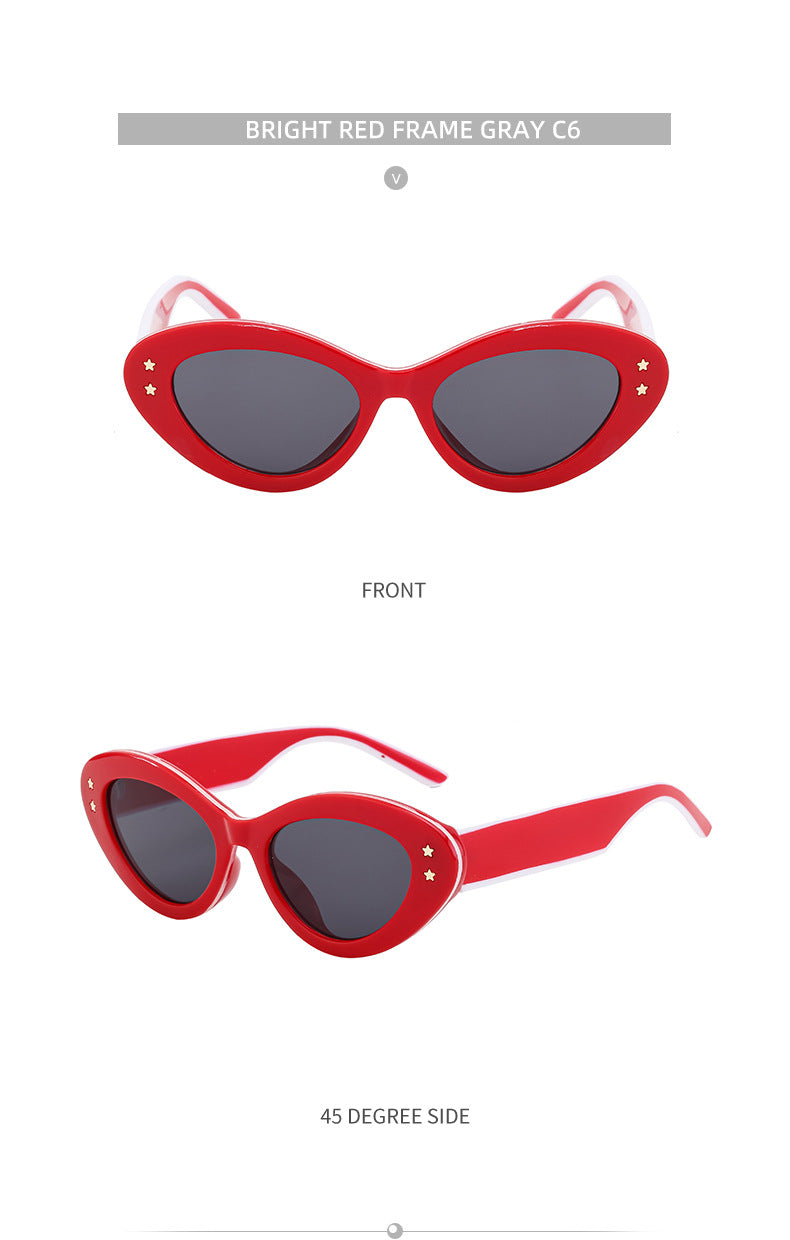 New Wide Mirror Leg Cat Eye Sunglasses for Women, European and American Fashion, High-End Feel Sunglasses sunglasses