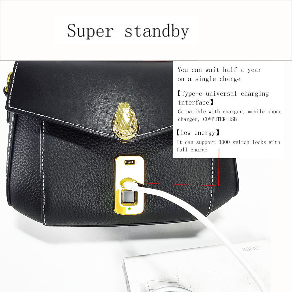 Customized Fingerprint Unlock Bag High-end Fashion Top Layer Cowhide Large Capacity Handbag Crossbody Genuine Leather Women's Bag
