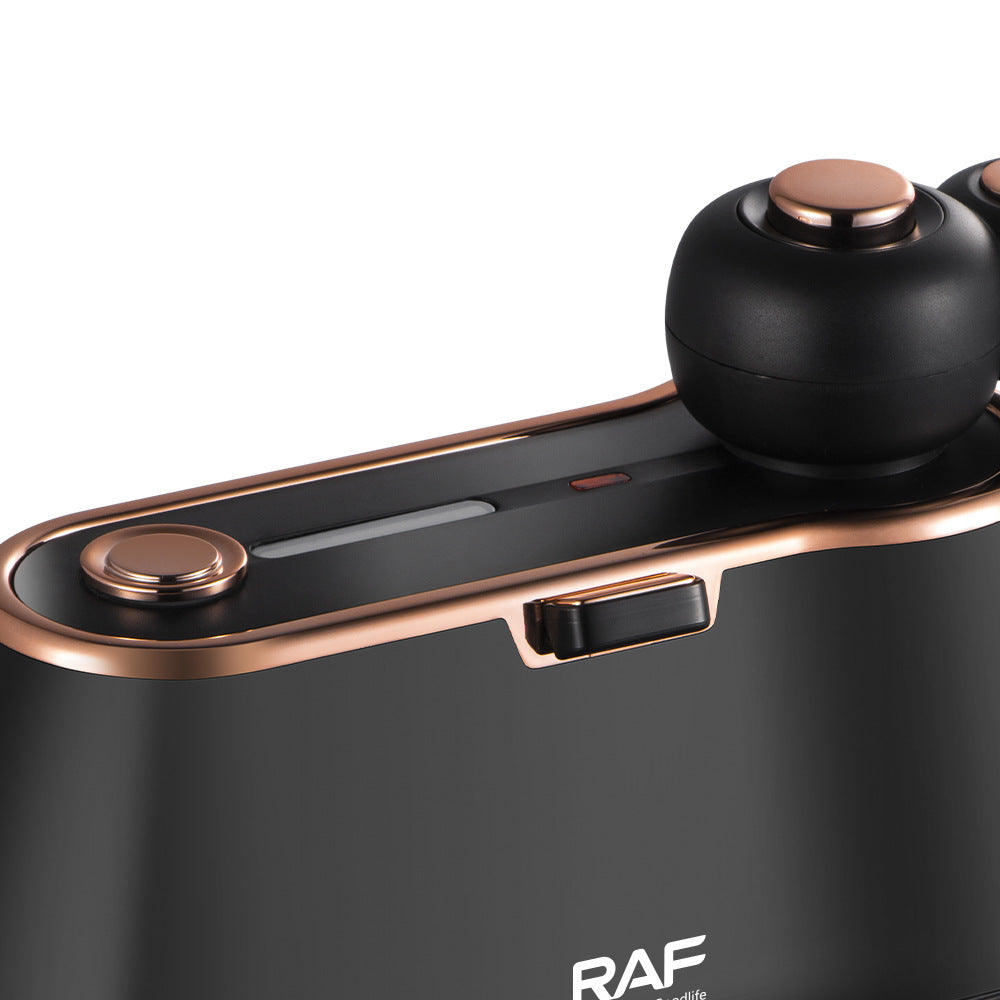 RAF EU Standard Home Business Travel Ironing Machine Mini Small Iron Handheld Steam Iron Portable Garment Steamer